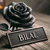 m.bilal91475