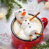 christmascraftsco