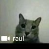 rayanabunasr0