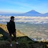 sigitharyanto20