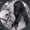 user833.877