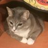 constanza_724