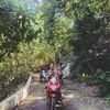 aungmyo7203