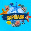 reefcapixaba