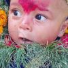 binitapariyar129