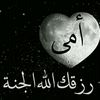 user8144479600931
