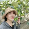 Táo sấy dẻo Trung Tuấn