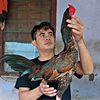 ransfarm01