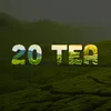 Thai Nguyen 20 Tea