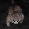 viktorliljas_
