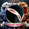 user7777615921335