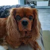 nathlololvt