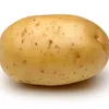 potatofrombulgaria