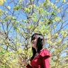 thanhphuong7456