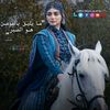 sultansultan3349