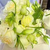 phucnguyen120823