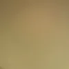 theroyaltail0r