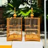 tibienhoa88
