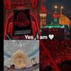 syed_zada5911