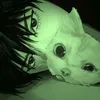 eu_alic3zx