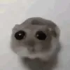 l0cal_g0th