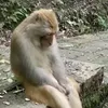 vulgomarquesss