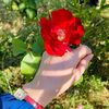 cherchelliya_42