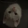 whispers_ofgrace0