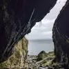 haydnwyllis4