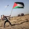 palestinianstonethrower