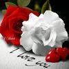 user58311434090742