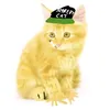 frigidy