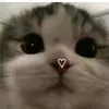 kathaleen_notfound