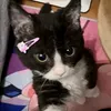 micah7.8