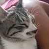 simone_souza__