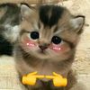 brianna.bustamant3