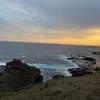 nica_cap