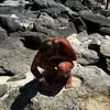 sophiia109855