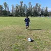 tobiasmol3