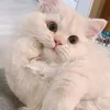 trnlduyhng