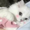 twingzy_18
