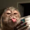 ro_xxxx0