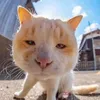 vivian_67899