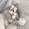 luna_starxx