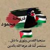user855574870294