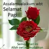 user1183769168807