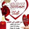 user788146119982