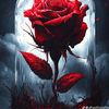 user6861267253966