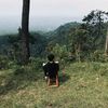 azino__story