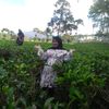 putriputri102824